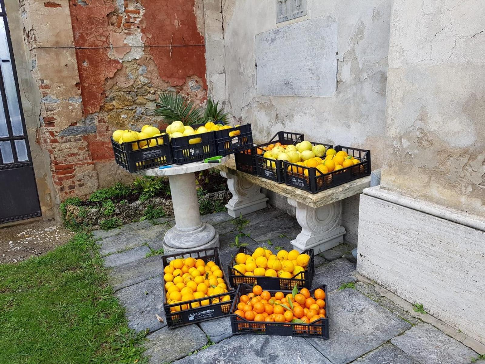 Agriturismo Villa Cavallini 카마이오레 외부 사진