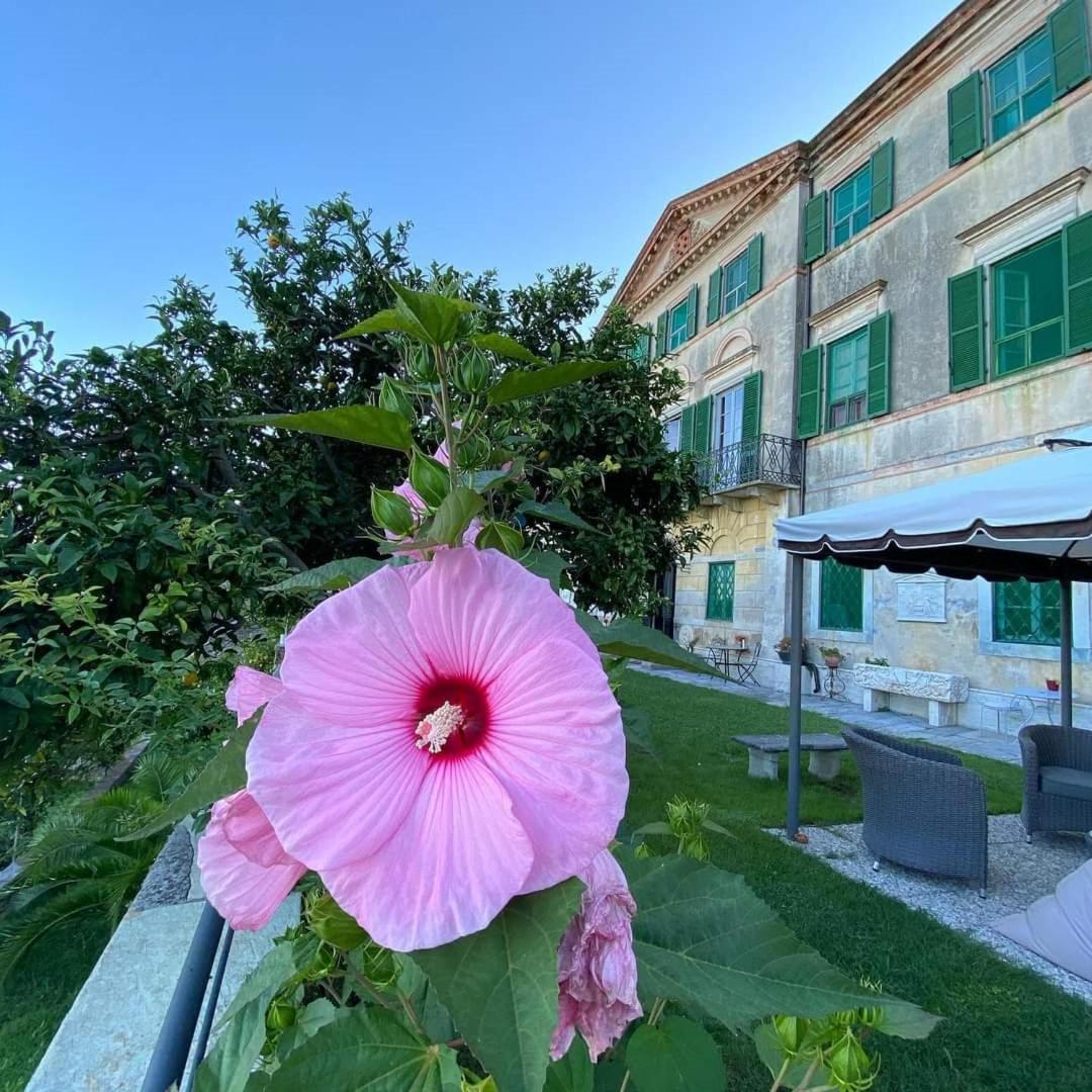 Agriturismo Villa Cavallini 카마이오레 외부 사진